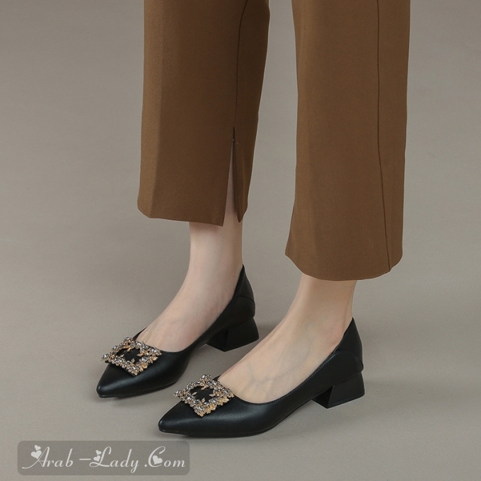 Ladies Retro Pointed Toe Decorative Buckle Low Heels